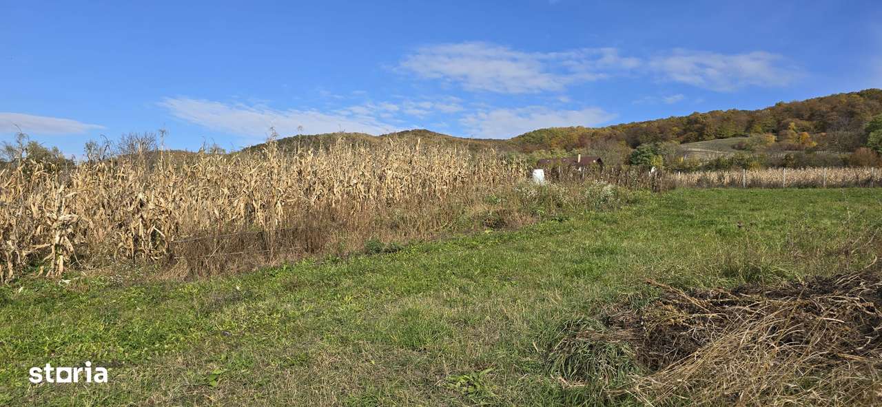 Doua parcele de vânzare in Herina, jud. Bistrița - Imagine principală: 5/7