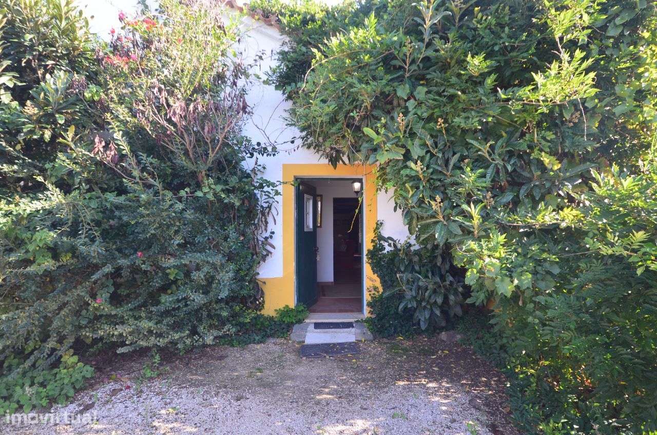 Quinta Olival das Moitas - Benfica do Ribatejo - Grande imagem: 2/20