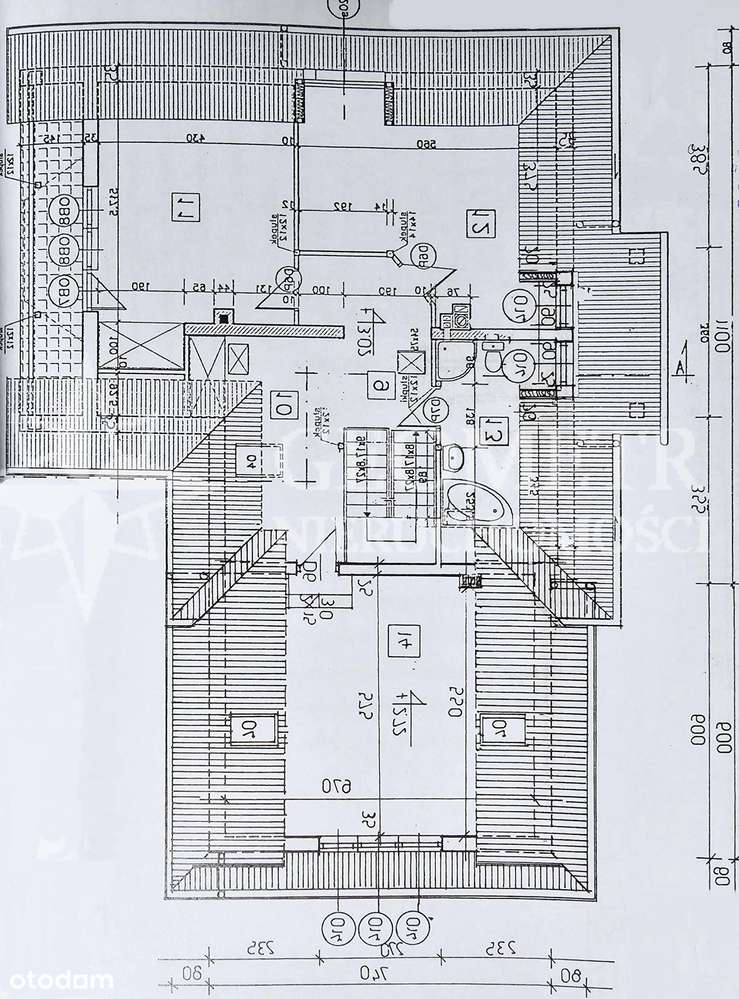 dom nad Narwią, nowa cena !-6