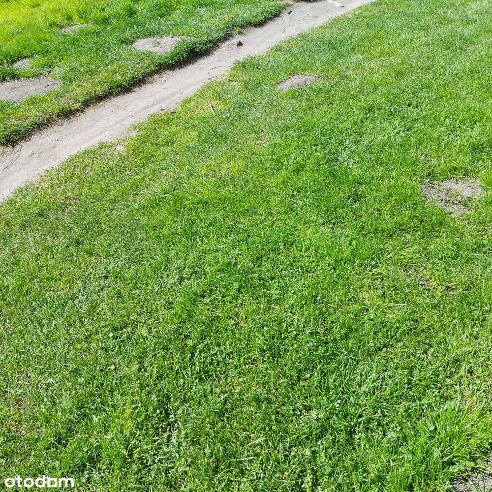 Działka rolna - Gostyń ul. Tyska - 3041m.-0