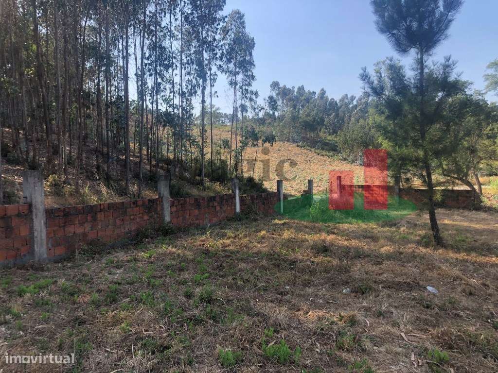 Terreno Asseiceira ***RIOMAGIC*** - Grande imagem: 5/16