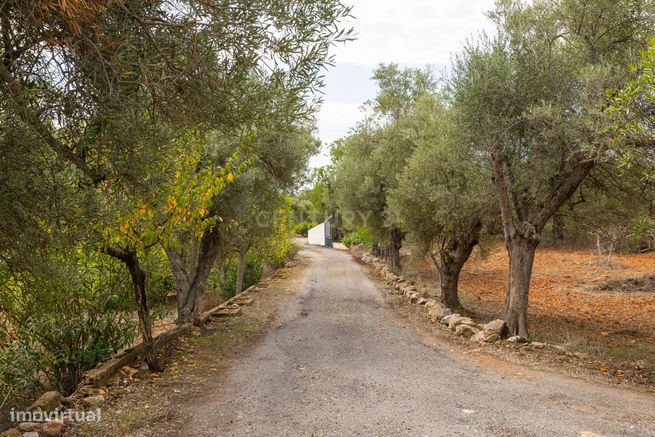 Oportunidade Única no Algarve – Propriedade de 33.840m² com duas morad-26