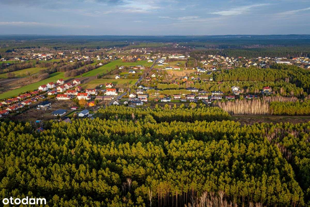 Duża działka częściowo zalesiona niedaleko jeziora-9