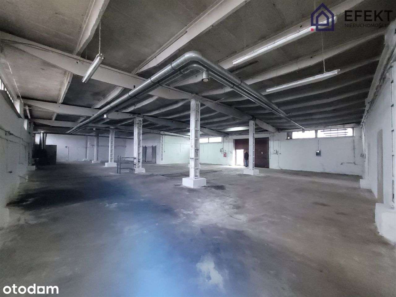 Hala magaznynowa Chrzanów - Pełny obrazek: 4/5