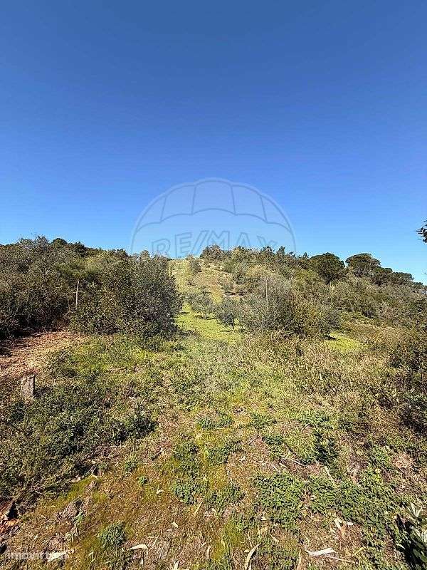 Terreno  para venda - Grande imagem: 3/8