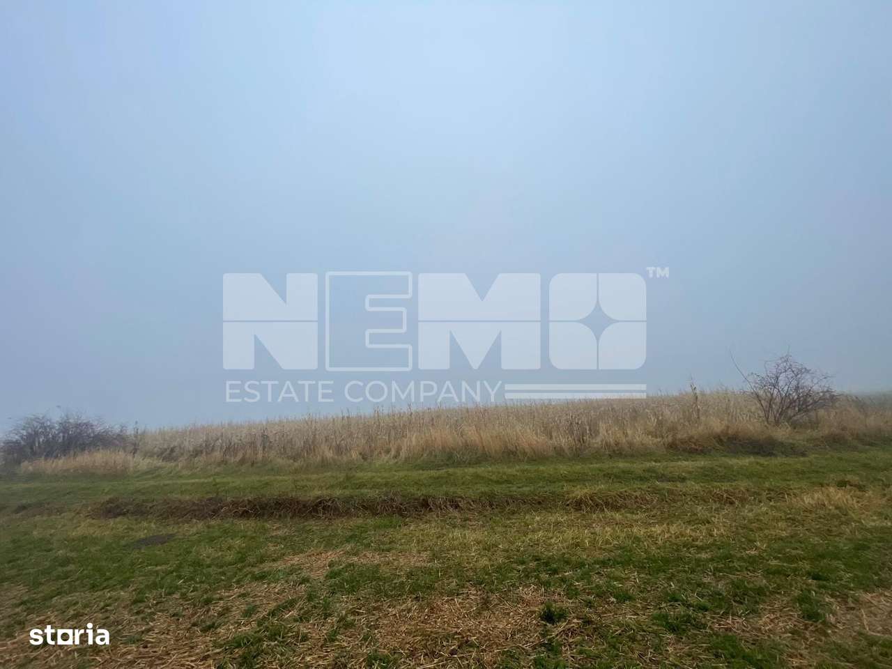 TEREN EXTRAVILAN | DOUA PARCELE 2.84 HA| IDEAL AGRICOL | DARMANESTI - Imagine principală: 3/20