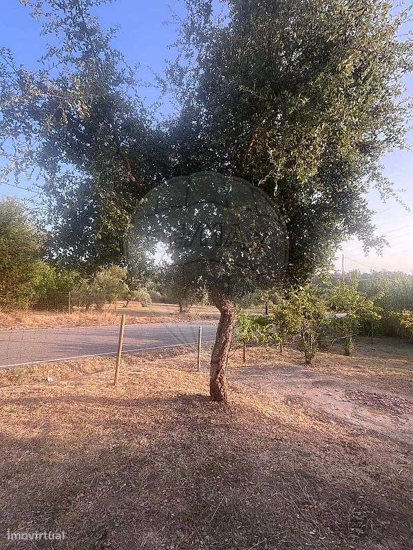 Moradia T2 para venda-21