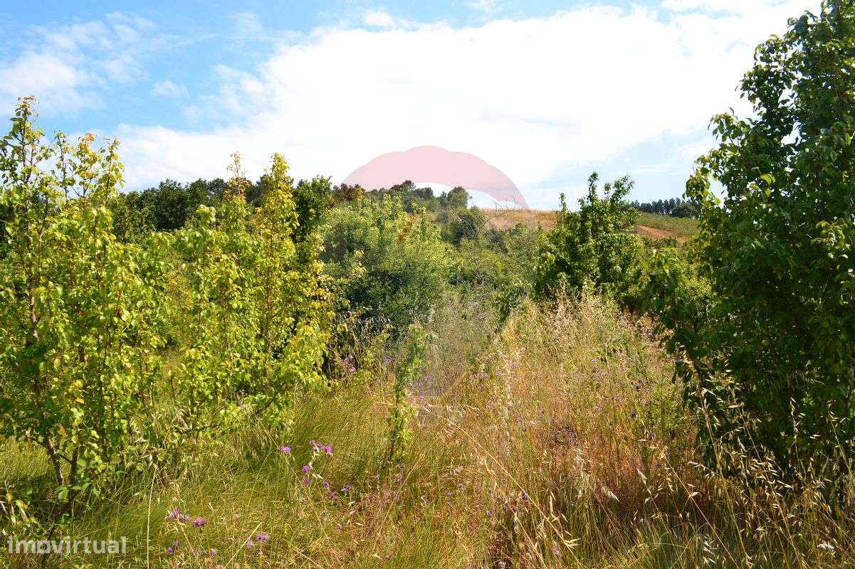 Terreno  para venda - Grande imagem: 4/20