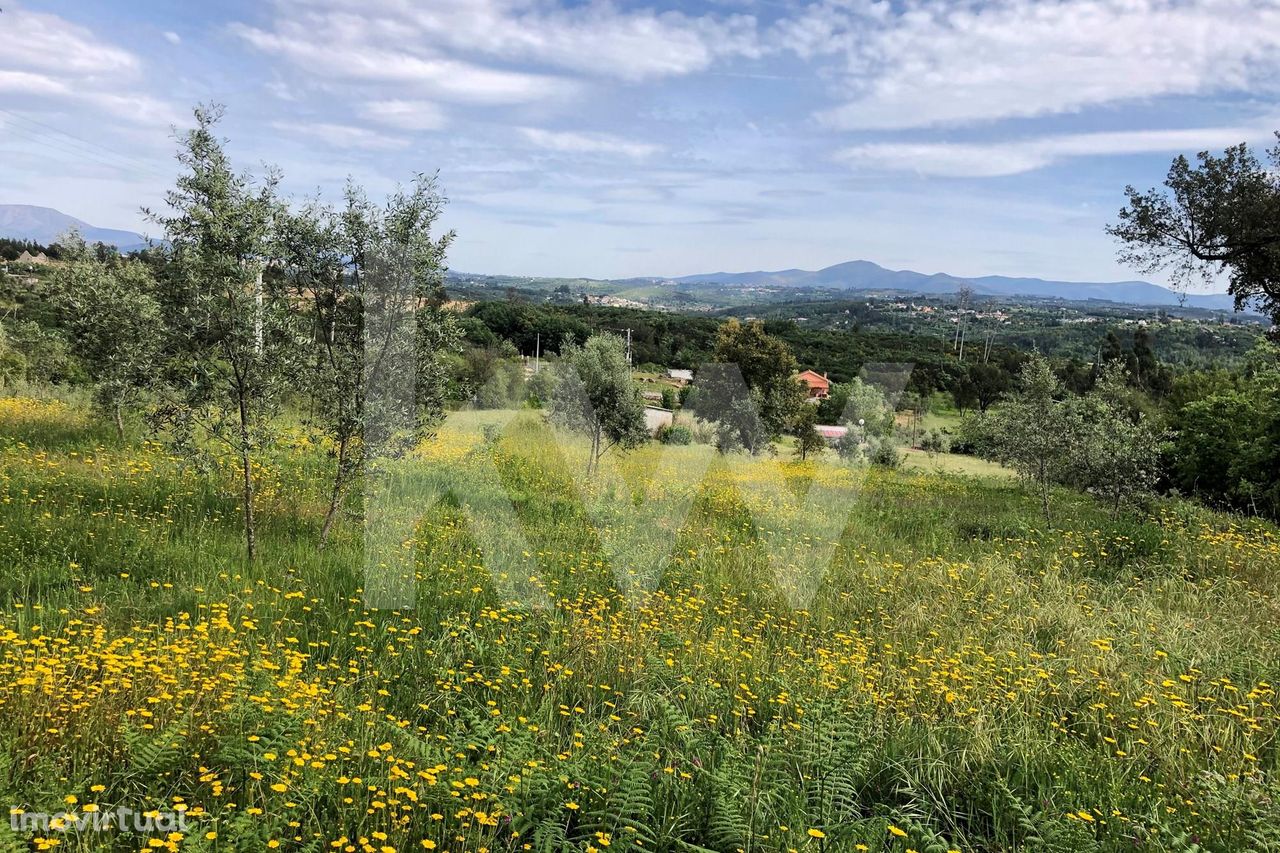 Terreno em Midões | 9960m2 | Vistas para a Serra da Estrela