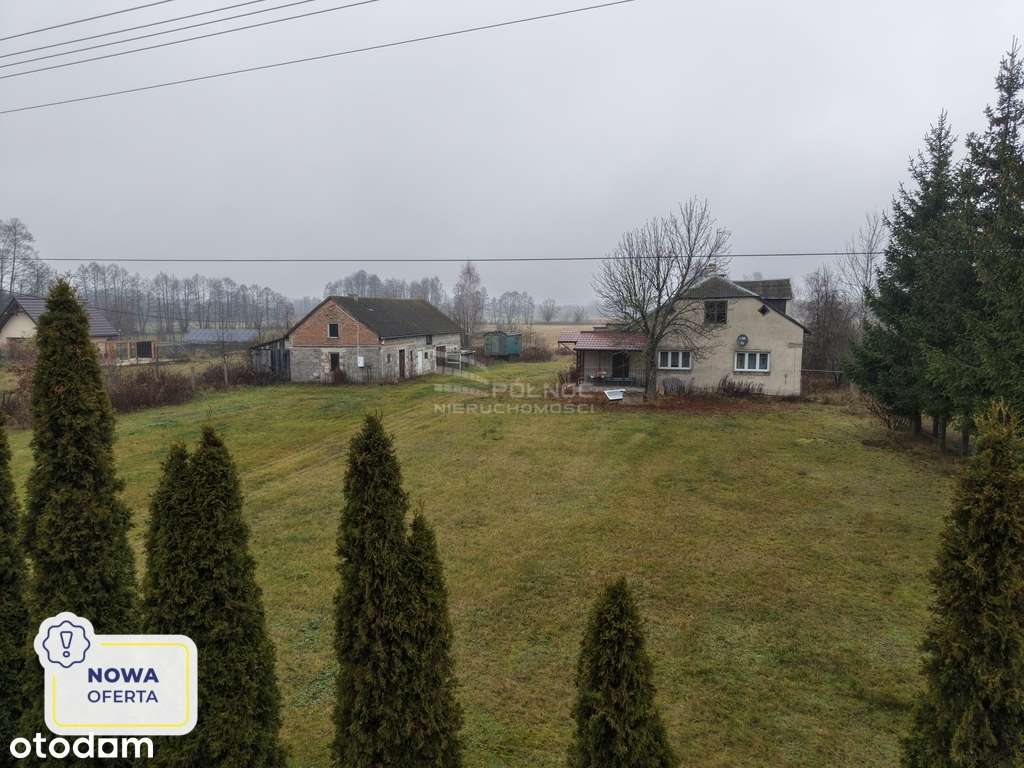 Twój kawałek Mazowsza – 3300 m² w Franciszkowie-0