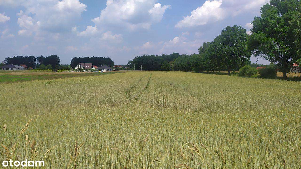 Działka blisko lasu. Luźna zabudowa-3