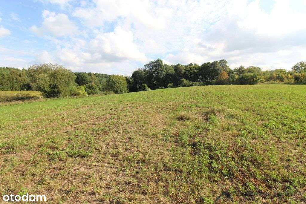 Działa przy jeziorze Łąkorz-1