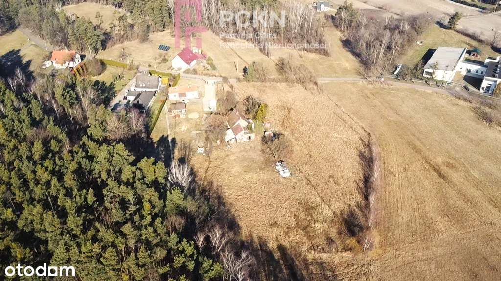 Działka budowlana 1,1 ha otoczona lasem/droga asfa - Pełny obrazek: 2/4