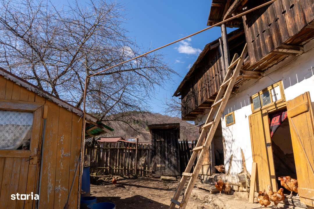 Ai plecat din Solont, dar terenul asta de 1737mp te cheama inapoi-6