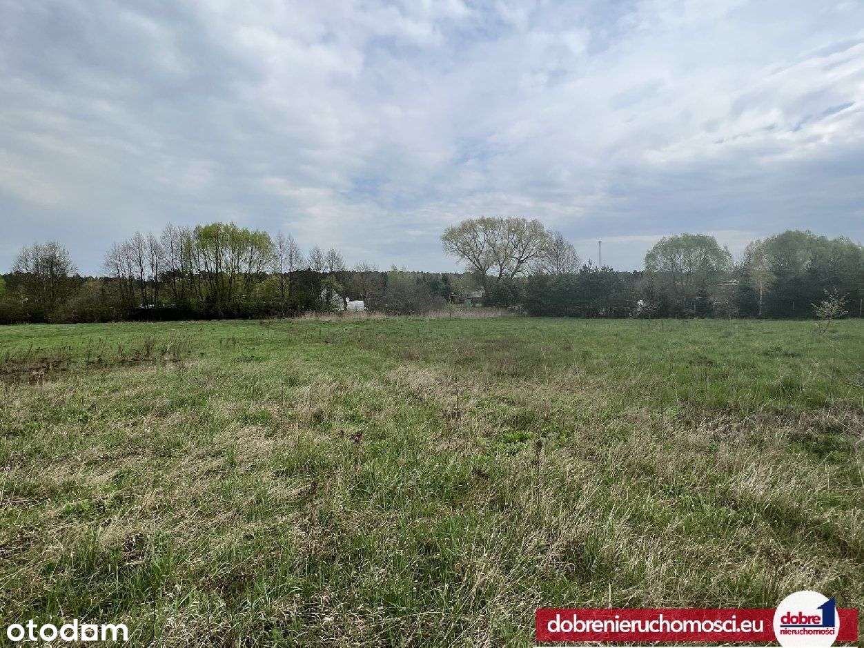 Działka 1535m2 z Wz Olek/Żurczyn - Pełny obrazek: 4/5