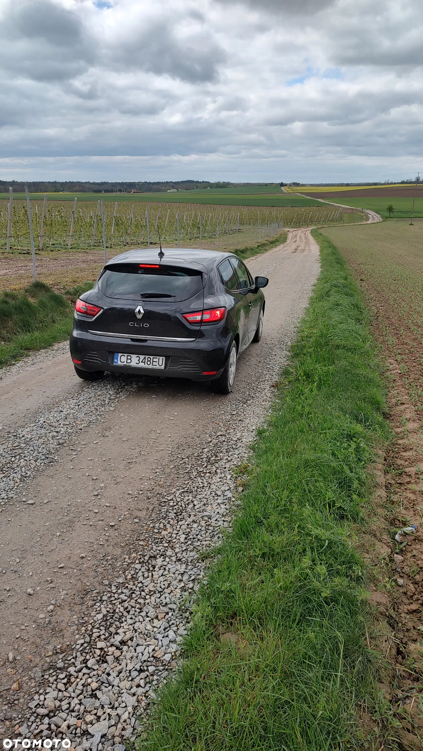 Renault Clio 1.2 16V Dynamique - 4