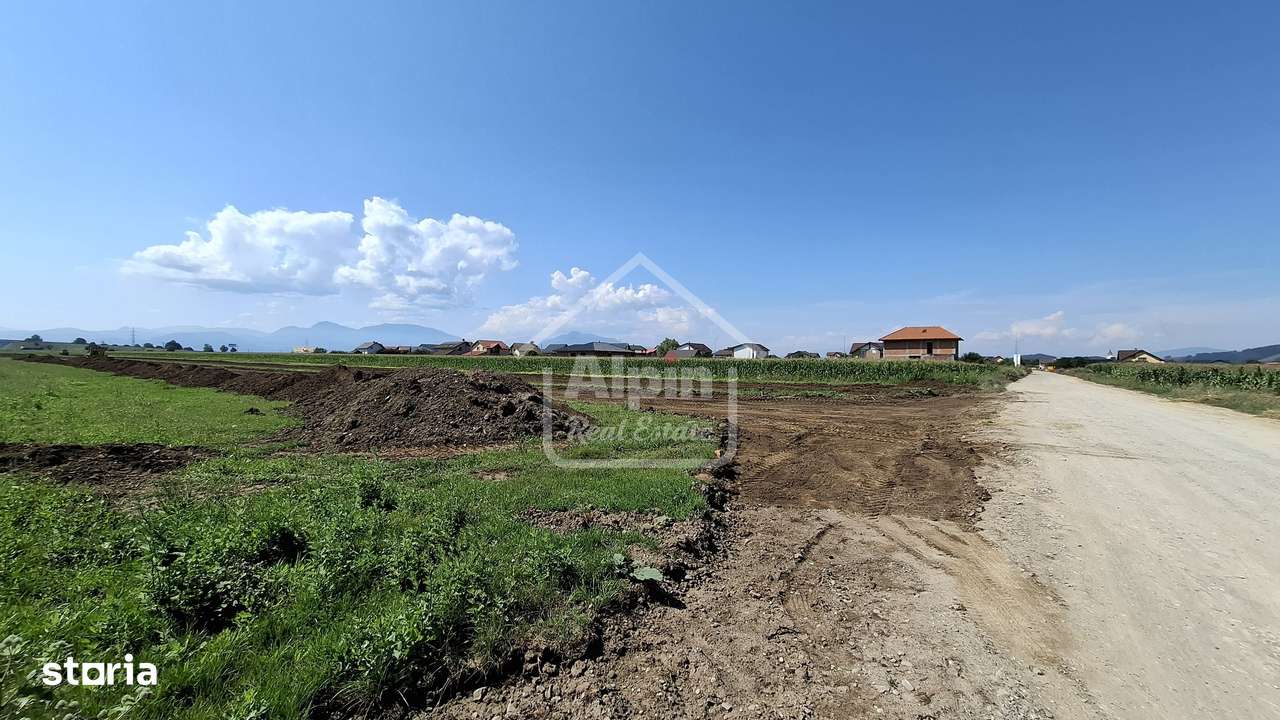 Terenuri Intravilane  Harman - Imagine principală: 4/19