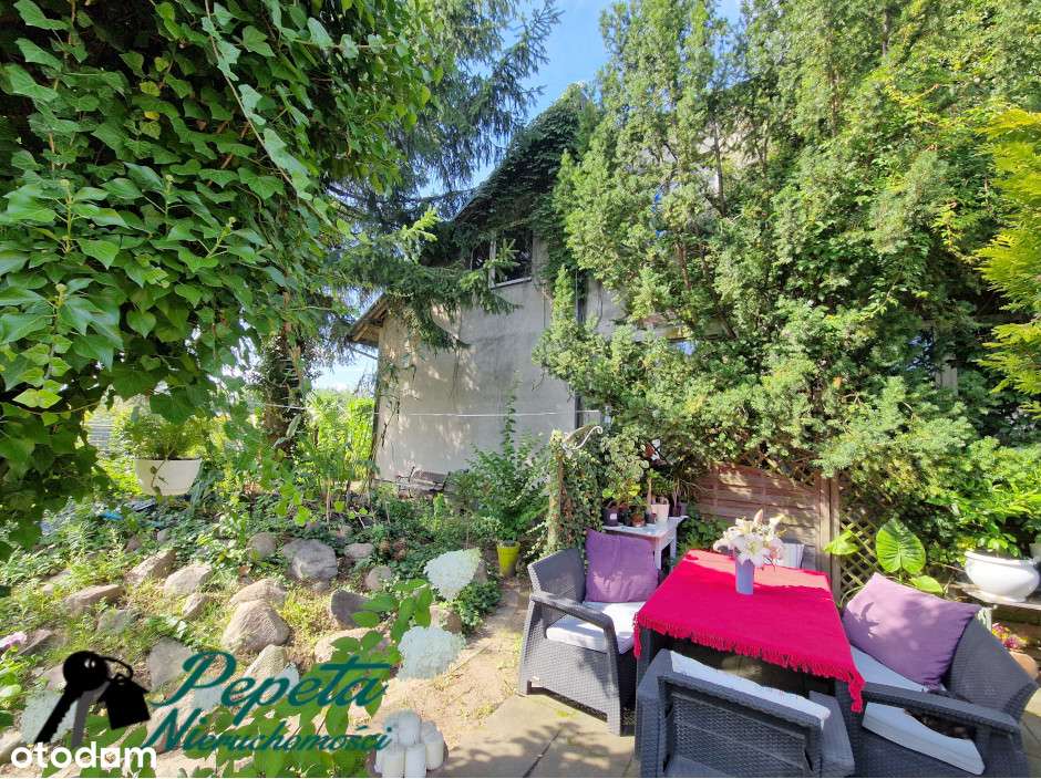 Dom wolnostojący, stan surowy zamknięty. Zalasewo. - Pełny obrazek: 4/12