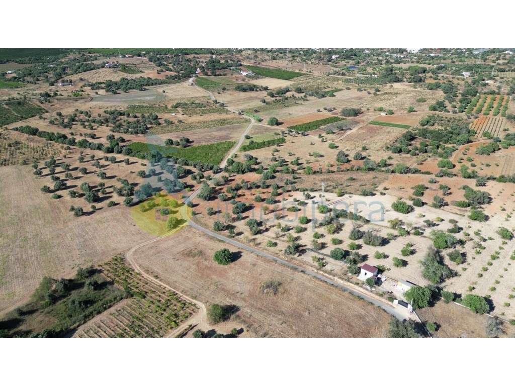 Terreno rústico para venda em Tunes - Grande imagem: 5/9