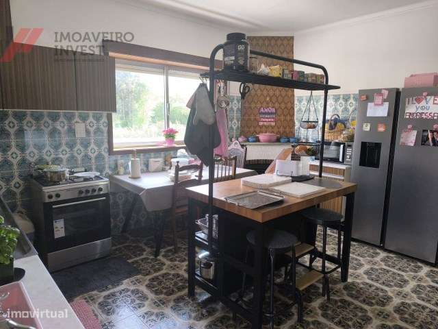 Quinta com Moradia Isolada e 4.450m² de Terreno Oiã Oliveira d Bairro-22