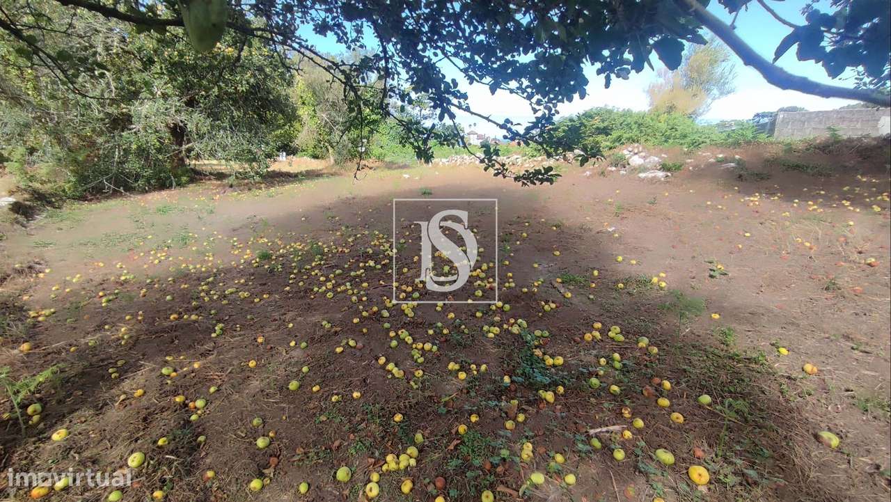 Terreno em Afife com Vista Mar - Grande imagem: 3/17