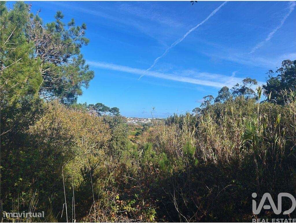 Terreno Agrícola em Mafra - Grande imagem: 2/15
