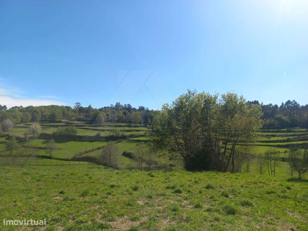 Casa para restauro em Bico-19