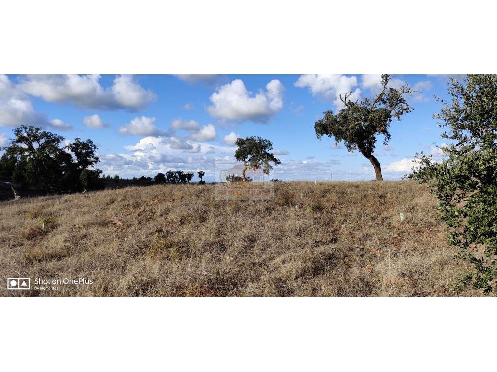 Monte Alentejano na Serra de Grândola com casa típica a 30 minutos ... - Grande imagem: 4/12