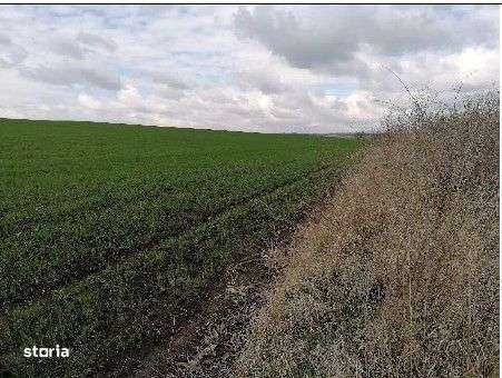 Teren extravilan Tiganasi, cota parte 1/5, ID: R2822453 - Imagine principală: 5/7