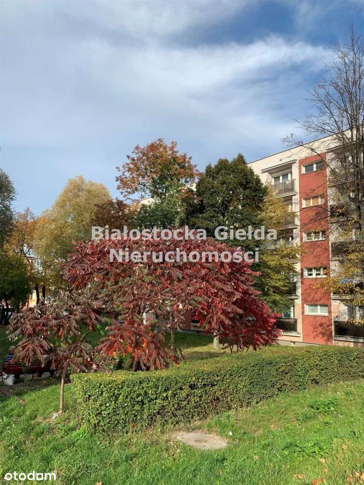 Mieszkanie 54,7 m2// 3 pokoje //balkon//Antoniuk-3