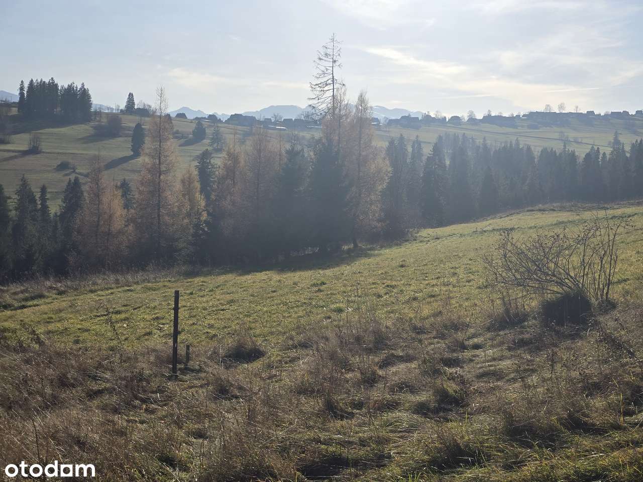 Działka Widokowa w Leszczynach - Pełny obrazek: 5/5