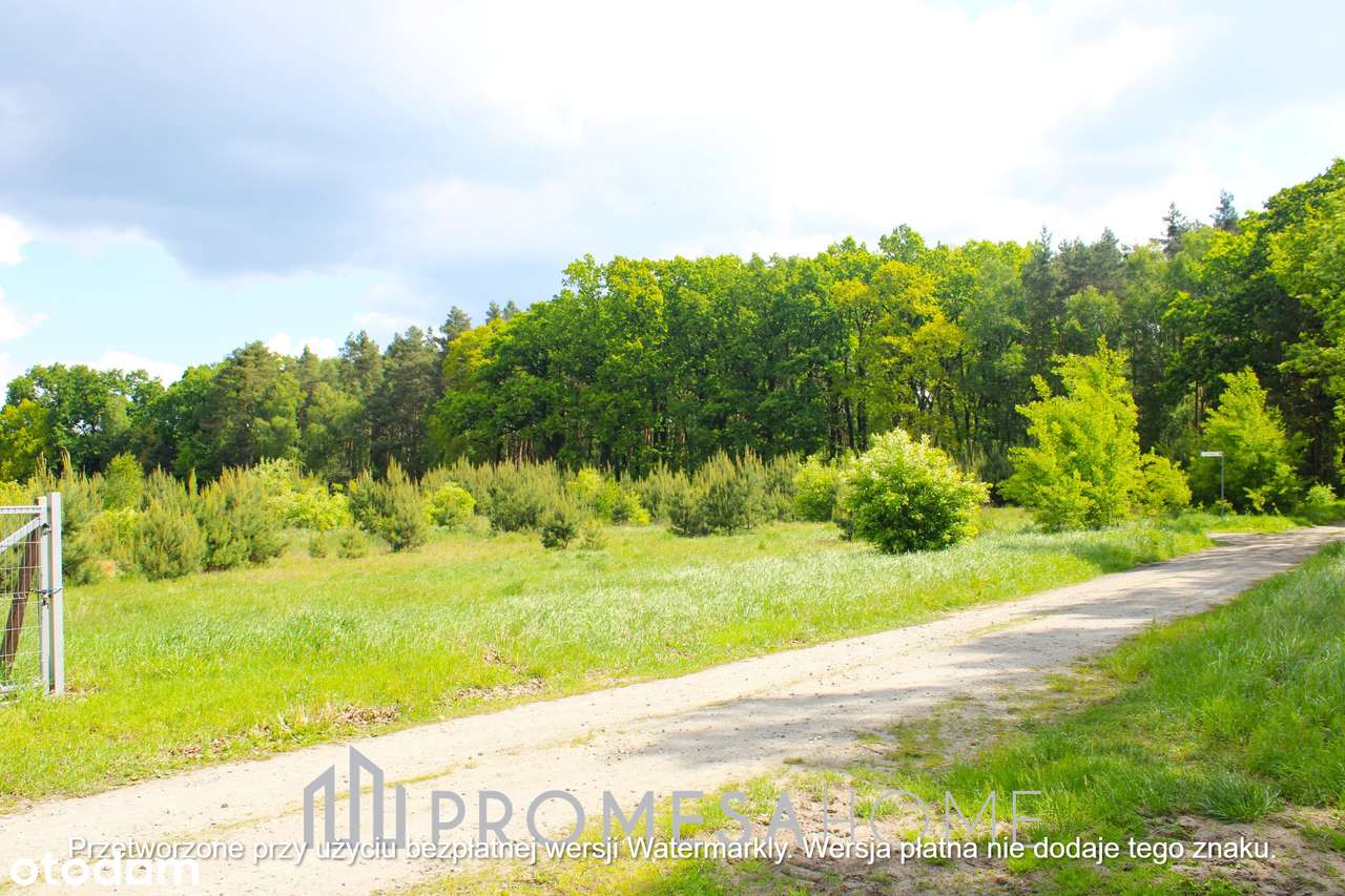 Sulęcinek pięknie położone działki przy ścianie lasu SUPER CENA !! - Pełny obrazek: 4/5