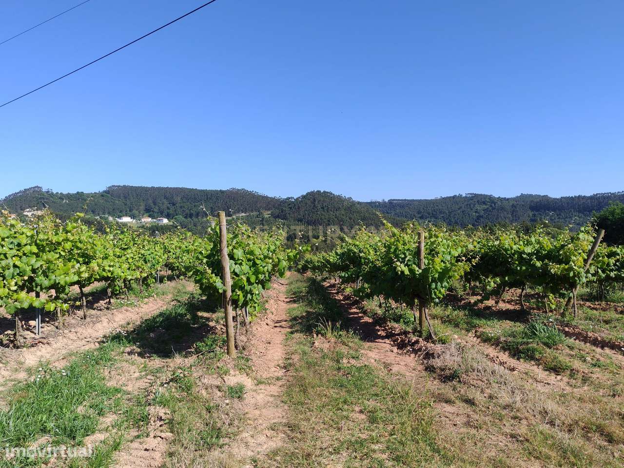 Terreno com 21 hectares - Mafra - Grande imagem: 4/10