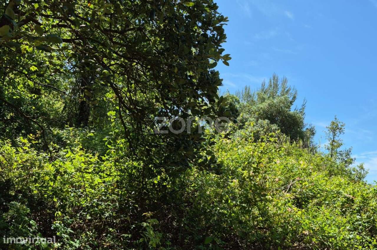 Terreno Casal Teles, Meca-5