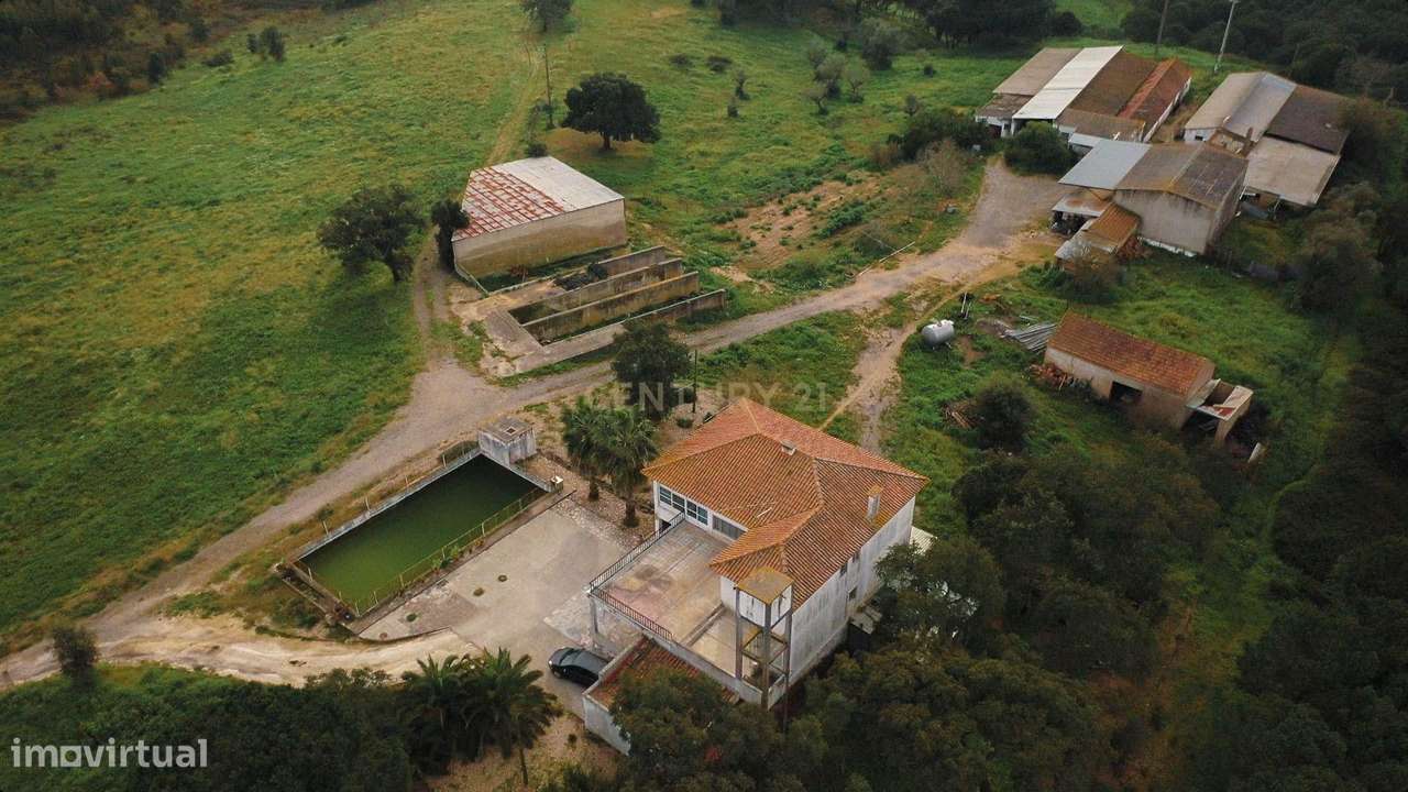 Magnífica Quinta em Santarém com 7 Quartos e 5 Casas de Banho - Grande imagem: 2/60