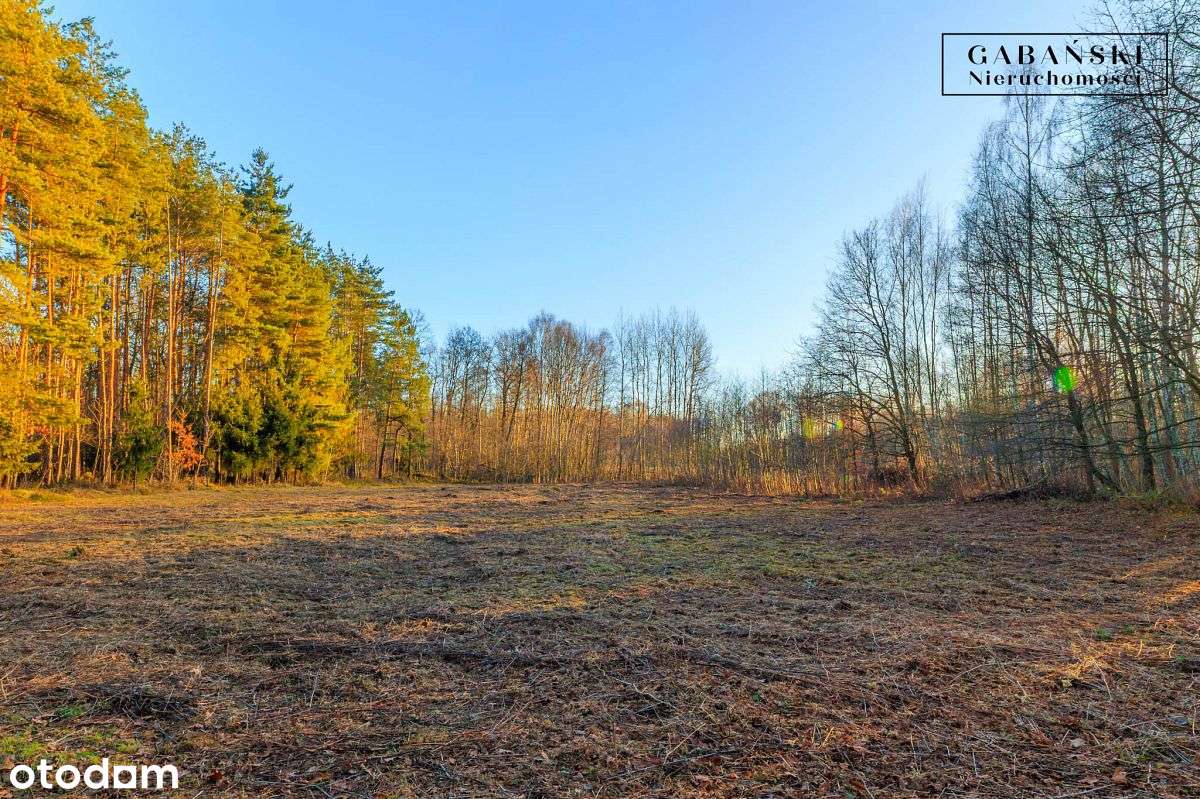 Działka budowlana na sprzedaż - Zaczarnie-12