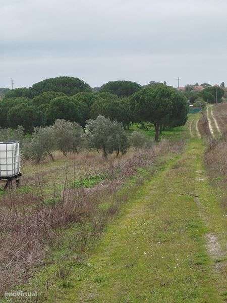 Vendo terreno rústico - Grande imagem: 5/5