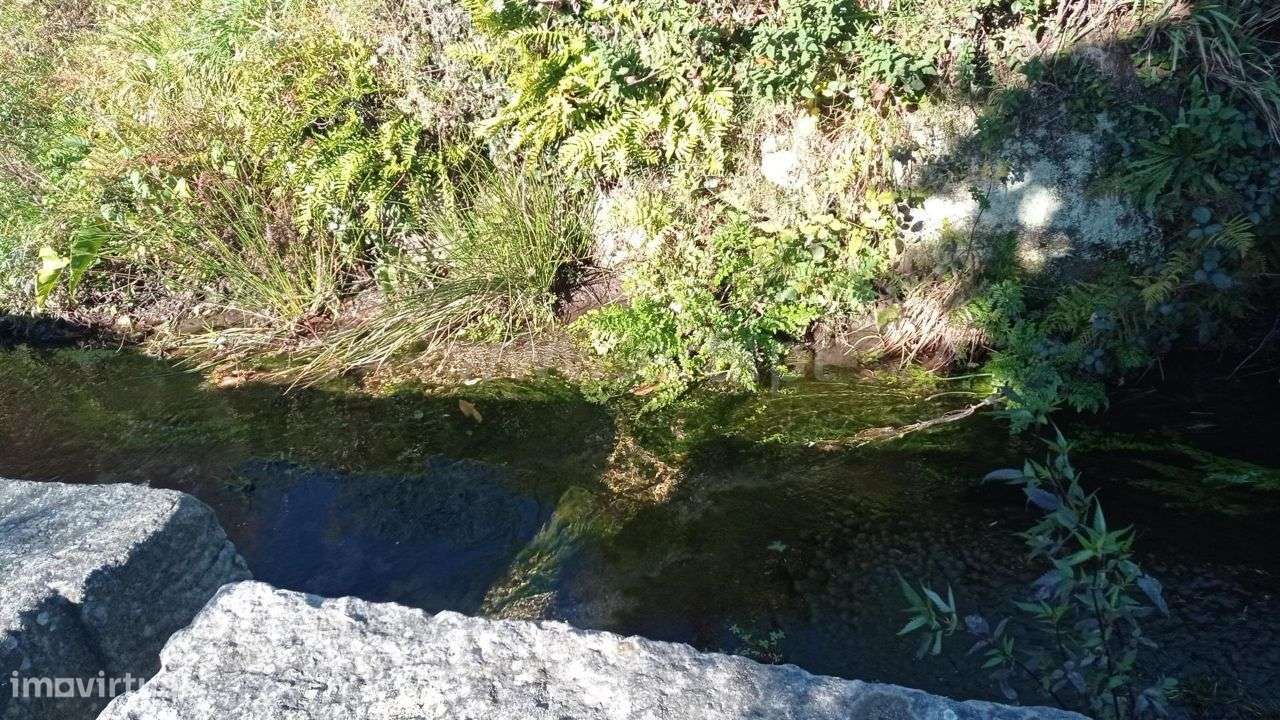 Moinho em Fafe - Grande imagem: 3/15