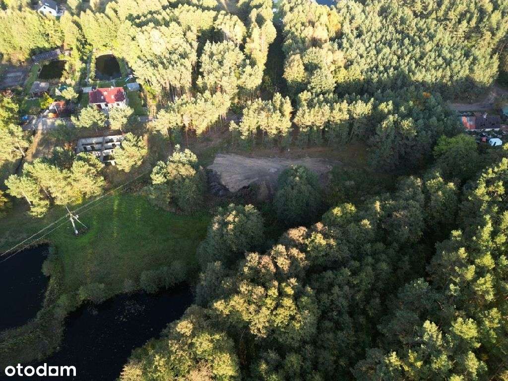 Silno - piękna działka - wokół lasy i nowe domy - Pełny obrazek: 5/7