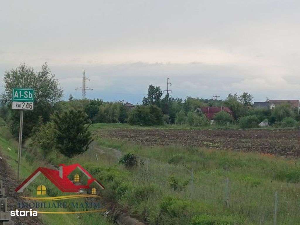Imobiliare Maxim  teren extravilan Gușterița-7