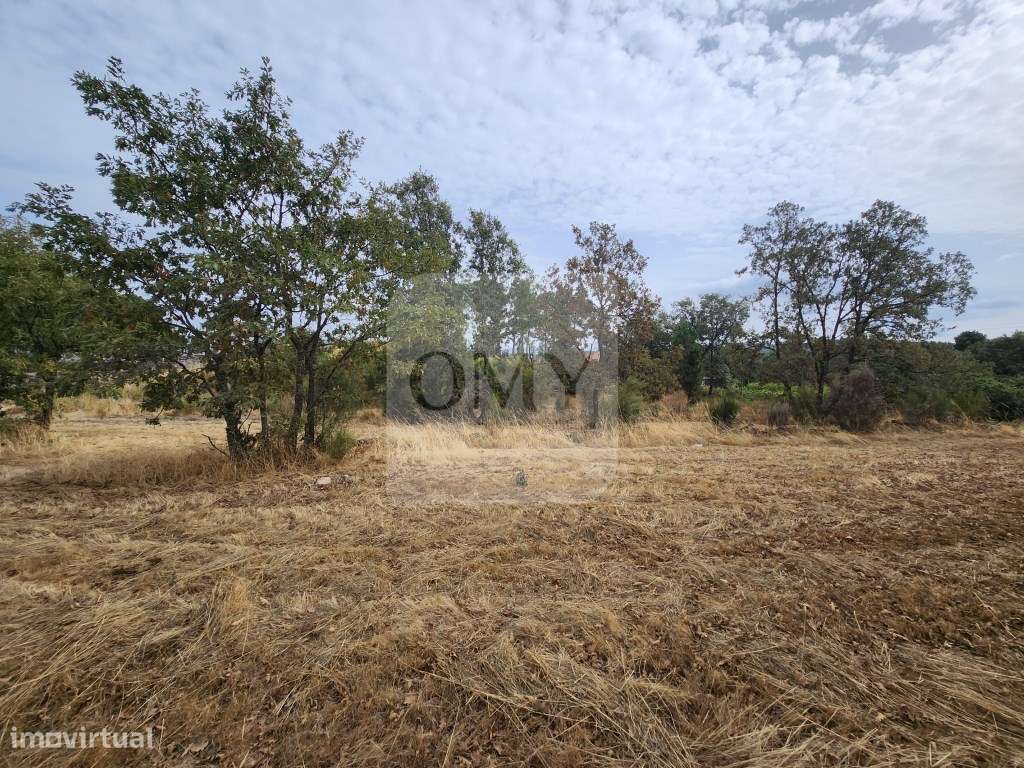 Terreno de 5.600 m2 com Viabilidade de Construção - Grande imagem: 2/8
