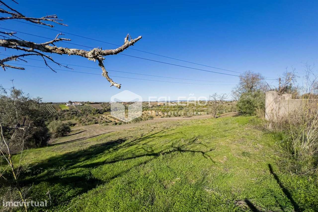Terreno Para Construção  Venda em Moçarria,Santarém-33