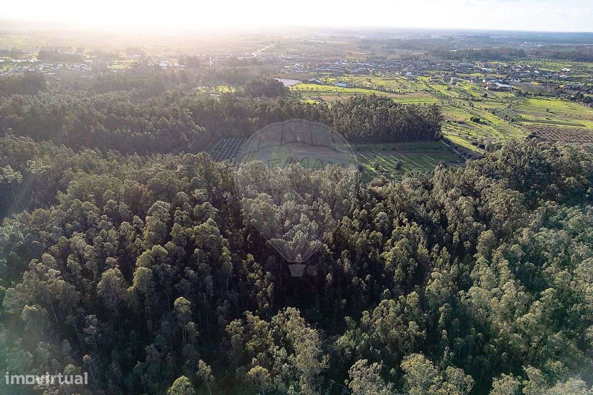 Terreno  para venda - Grande imagem: 2/11