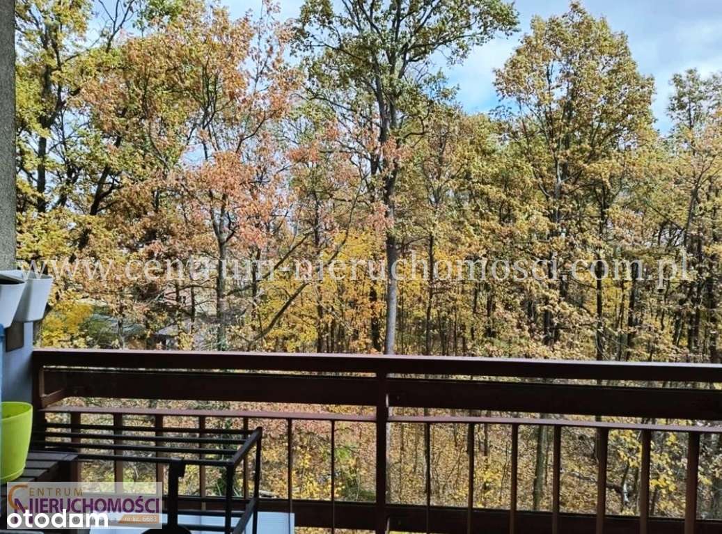 ul. Sosnkowskiego, 3 pokojowe mieszkanie w otulinie leśnej-3