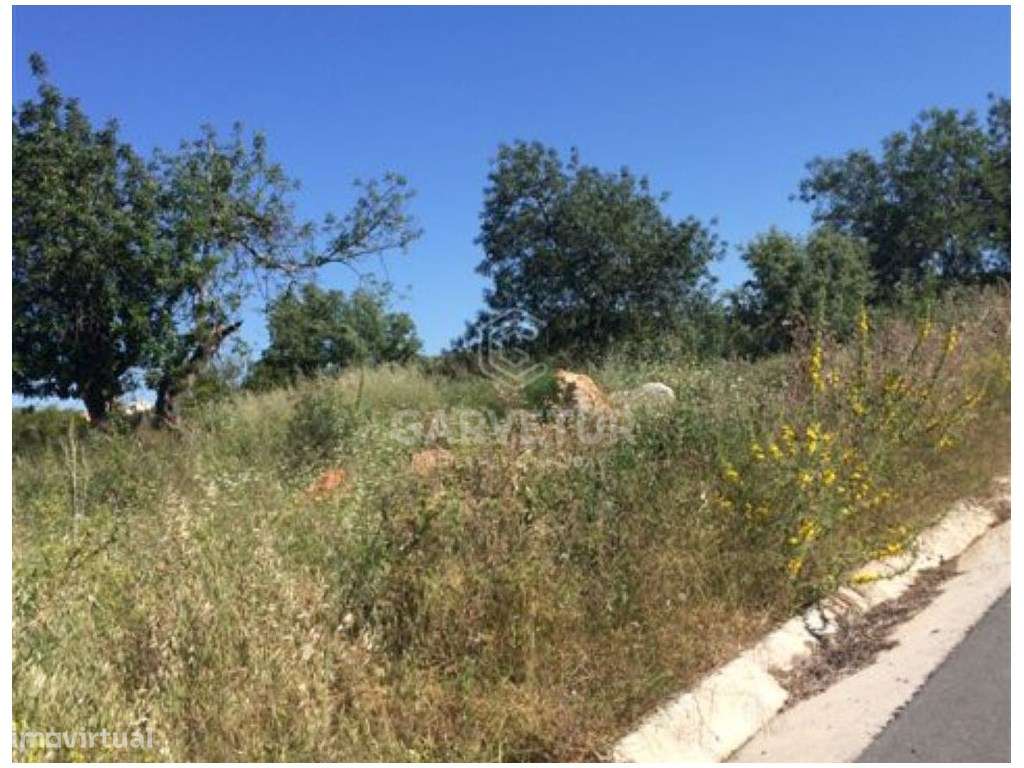Lote de terreno rústico, Salir, Algarve - Grande imagem: 4/11