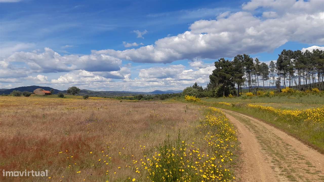 Herdade T0 Venda em Enxames,Fundão-7