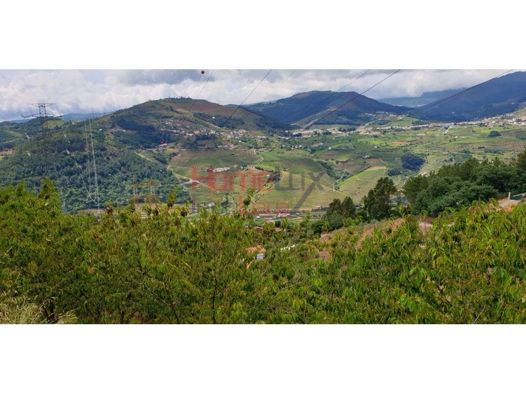 TERRENO AGRÍCOLA - Grande imagem: 5/19