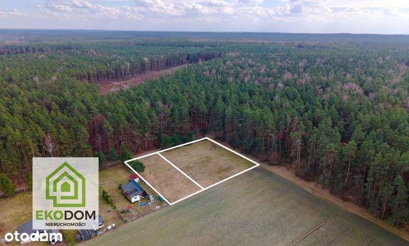 Dwie malownicze  działki pod lasem 1017 i 1957 m2 / Panoszów-7