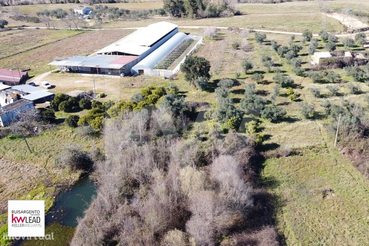 Quinta do Chumbeiro Propriedade Agricola com 55ha Fundão