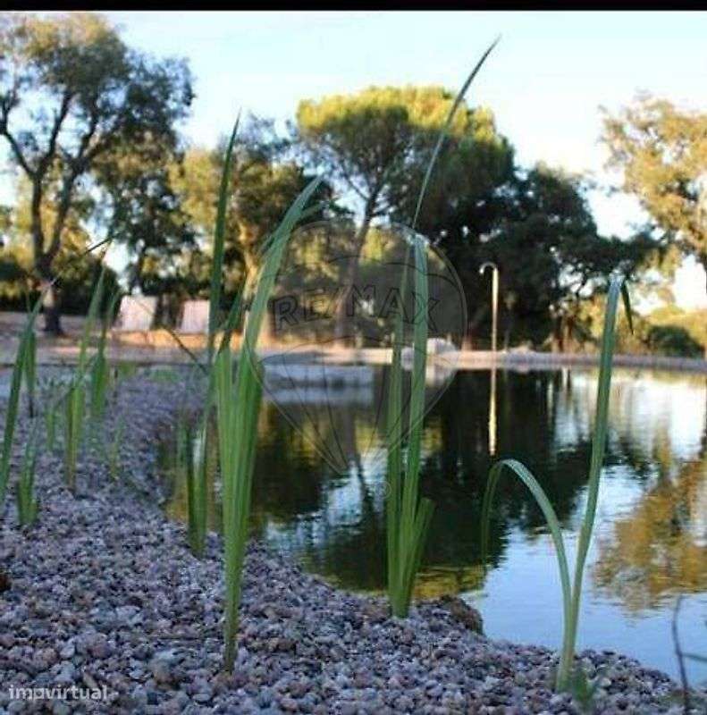 Quinta  para venda - Grande imagem: 5/38